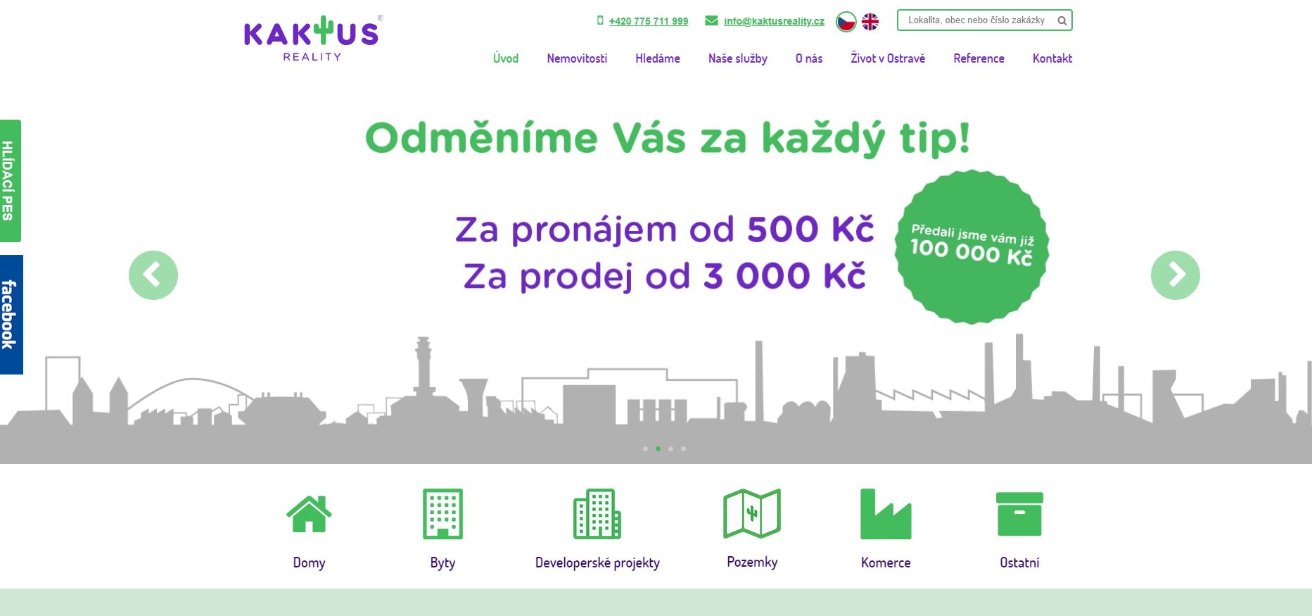 kaktus reality