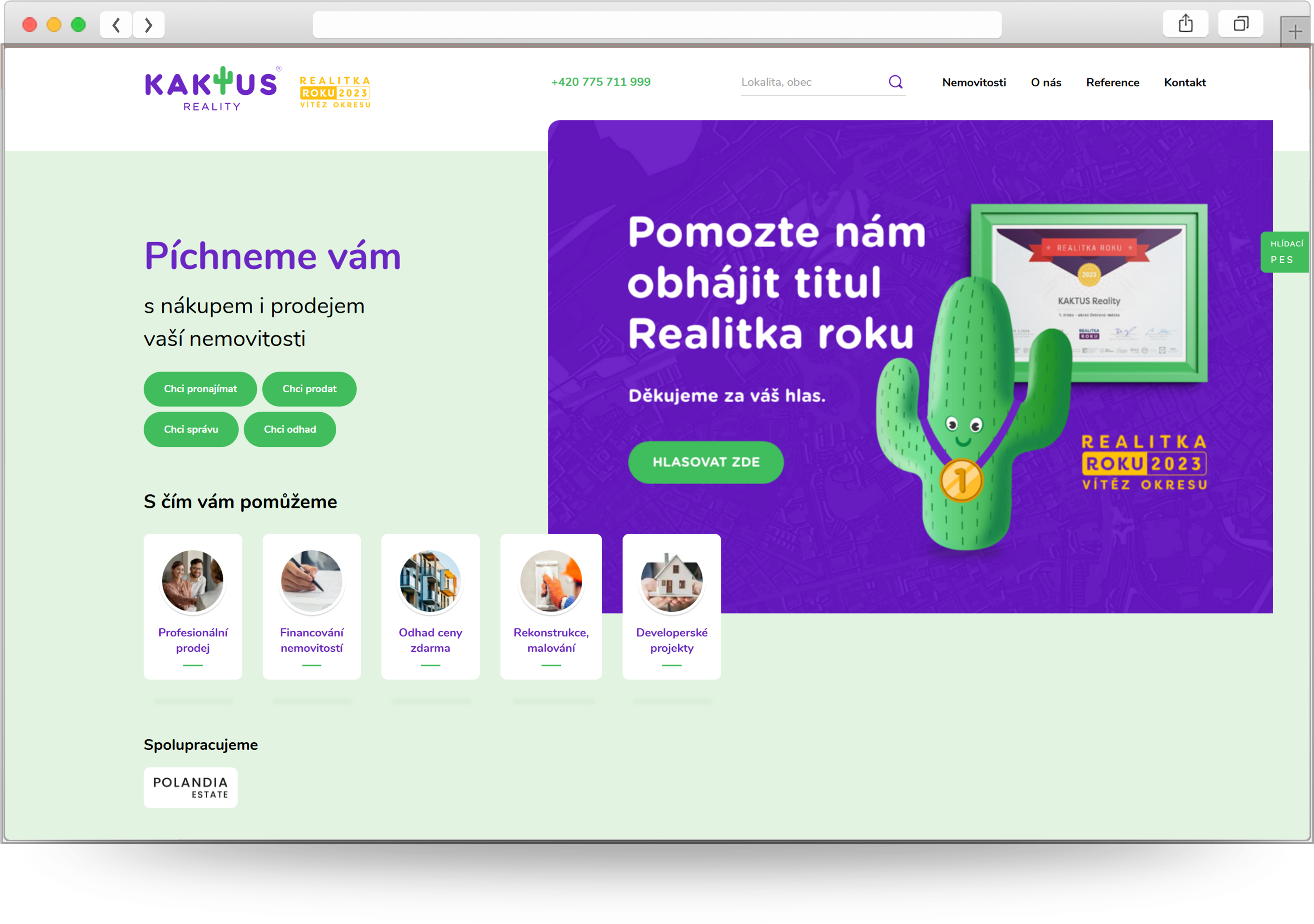kaktus reality