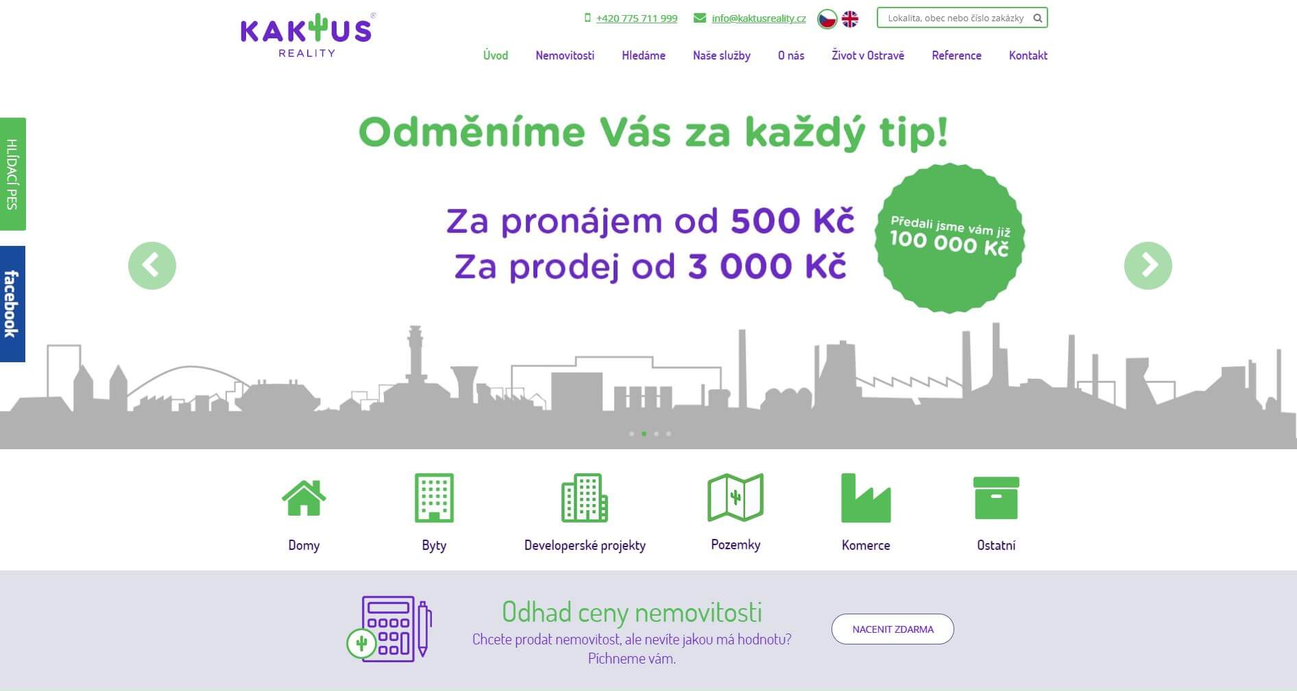 kaktus reality